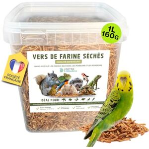 Detox Organica vers de Farine Séchés [160g équivalent 1000ml, Qualité Premium ] Friandise Oiseaux, Hérissons, Tortues, Reptiles, Poissons, Rongeurs Animaux Sauvages, Compagnie   100% Naturel, sans additifs (Seau) - Publicité