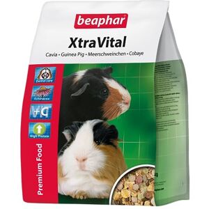 Beaphar – XTRAVITAL – Alimentation pour cochon d'Inde appétente et équilibrée – Contient des graines, nutriments végétaux et proteines animales – Riche en vitamines et en fibres – 2.5kg - Publicité