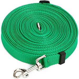 Qcwwy Laisse de Dressage pour Chiens de 10 M, Réglable et Portable, Longue Laisse de Chien Robuste pour Grands Chiens, Randonnée, Camping, Entraînement, Natation (Vert) - Publicité