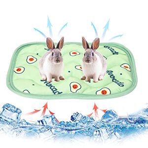 Hileyu 2Pcs Petits Animaux Matelas Refroidissant Lit Lapin Hamster Cooling Pad Summer Ice Silk Sleeping Bed for Small Pet Puppy Guinea Pigs Hamster Rabbits Hamsters Cat (Avocat) - Publicité