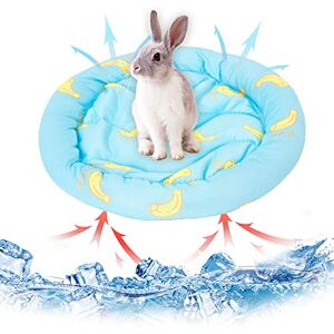 Hileyu Petits Animaux Matelas Refroidissant Lit Lapin Hamster Cooling Pad Summer Ice Silk Sleeping Bed for Small Pet Puppy Guinea Pigs Hamster Rabbits Hamsters Cat (Blue) - Publicité