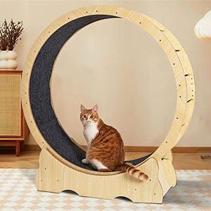 TWQFTWHR Tapis Roulant pour Chat, Roue pour Chat, Jouets interactifs pour Chats d'intérieur, Petits et Grands, Jouet de Sport Rotatif, Course à Pied, grattage - Publicité