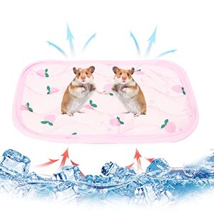 Hileyu 2Pcs Petits Animaux Matelas Refroidissant Lit Lapin Hamster Cooling Pad Summer Ice Silk Sleeping Bed for Small Pet Puppy Guinea Pigs Hamster Rabbits Hamsters Cat (Pêche) - Publicité
