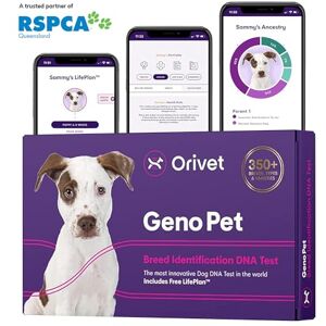 Orivet Genopet Kit de test ADN génétique pour chien de race avec risques de santé et LifePlan - Publicité