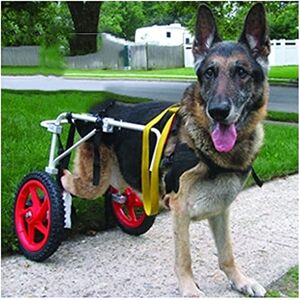 FAXIOAWA Fauteuil roulant pour pattes arrière, roues pour pattes arrière, fauteuil roulant pour grands chiens, chariot pour animaux de compagnie, chaise roulante pour chien, rééducation des pattes arrière, r - Publicité