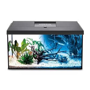 AquaEl Leddy Kit d'aquarium à LED Complet avec Couvercle, Filtre, Chauffage, LED Jour et Nuit, 60 x 30 x 30 cm, Noir - Publicité