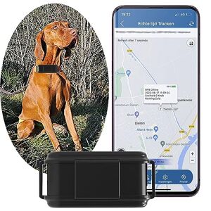 Zeerkeer Traceur GPS Voiture 4G APP Sans Abonnement Suivi en Temps