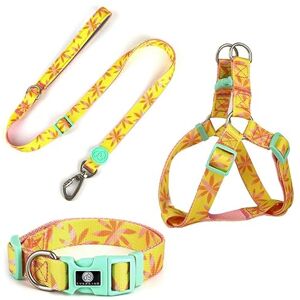 EVERKING Collier pour chien et chat avec collier Hamess Bubo Holiday Series Design 3 tailles Collier doux et confortable réglable pour animaux de compagnie (passez un temps infini, M) - Publicité