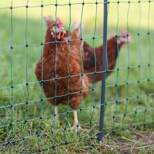 Filet de clôture pour volailles AKO PoultryNet Premium 50m, filet pour poules, 122cm, 15 piquets renforces, 2 pointes, vert