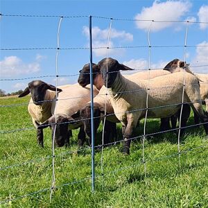 Filet pour moutons AKO TitanNet Premium Vario 50 m, protection anti-loup, 122 cm, 14 piquets renforces, 2 pointes, bleu-blanc