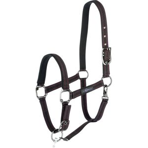 Licol GoLeyGo 2.0 pour cheval, noir-fuchsia, taille poulain/mini shetland (T.00)