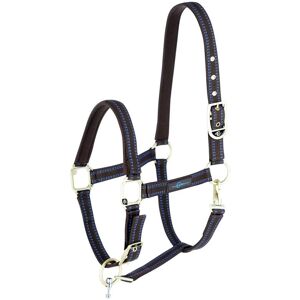 Licol GoLeyGo 2.0 pour cheval, marron-bleu ciel, taille poulain/mini shetland (T. 00)