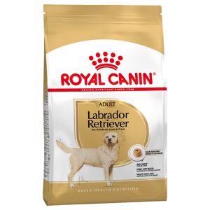 2x12kg Labrador Retriever Adult Royal Canin - Croquettes pour chien
