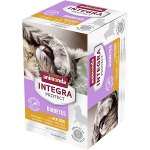 6x100g Protect Adult Diabète volaille Animonda Integra - Pâtée pour chat