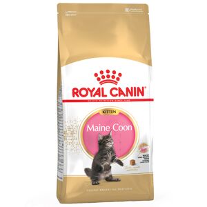 2x10kg Kitten Maine Coon Royal Canin Croquettes pour chaton