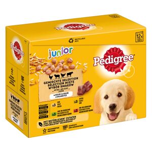 96x100g Multipack Pedigree Junior - Patee pour chien
