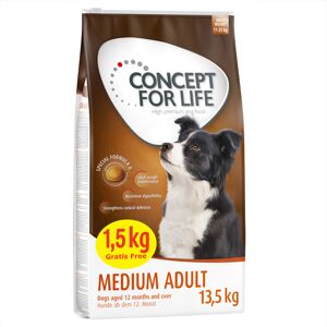 12kg Medium Adult Concept for Life Croquettes pour chien + 1,5kg offert !