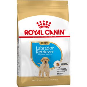 2x12kg Labrador Retriever Puppy Chiot Royal Canin - Croquettes pour chien