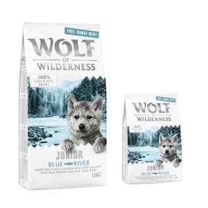 Croquettes Wolf of Wilderness sans cereales 12 kg + 2 kg offerts ! - Junior Blue River poulet eleve en liberte, saumon