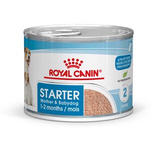 48x195g Royal Canin Starter Mousse Mother & Babydog - Pâtée pour chien