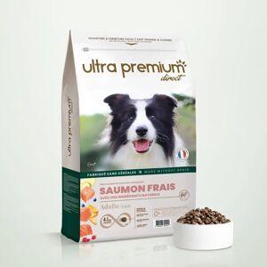 Ultra premium direct Croquettes Sans Cereales au Saumon frais pour chien adulte toutes tailles