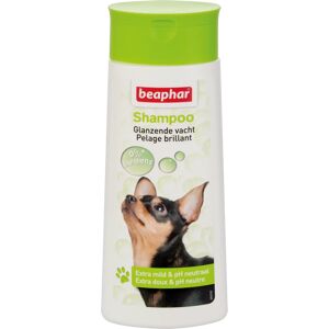 Beaphar Shampoing Bulles Chien Pelage Brillant 250ml - Publicité