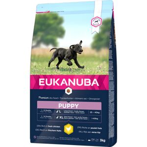 Eukanuba Puppy Large Breed Pour Chien 15kg