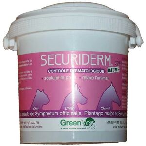 SECURIDERM BAUME 500g