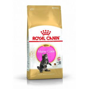 Royal Canin Maine Coon Chaton 400g - Publicité