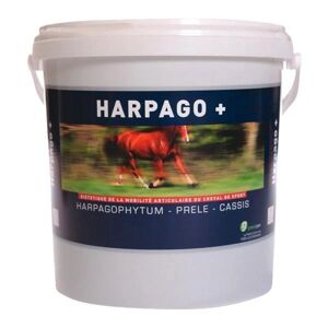 Greenpex HARPAGO + 4,5Kg