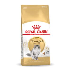Royal Canin Chat Norvégien Adult 10kg