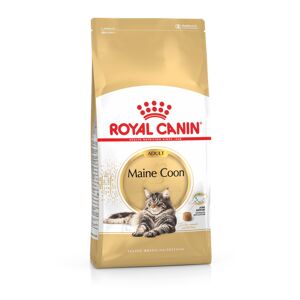 Royal Canin Maine Coon Adult pour chat 4kg - Publicité