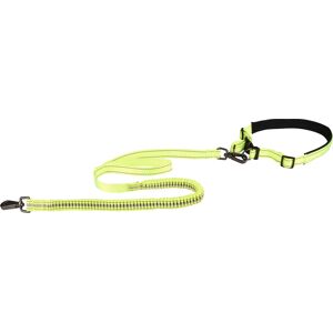 Flamingo Laisse Pour Le Jogging + Ceinture Ventrale Diran S Laisse 103cm / Ceinture 70-90cm