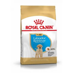 Royal Canin Labrador Retriever Chiot pour chien 3kg