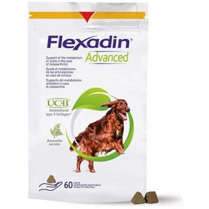 Flexadin Advanced 60 Bouchées