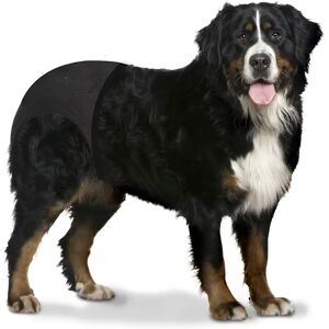 Duvoplus Culotte Pour Chiens 60-70cm