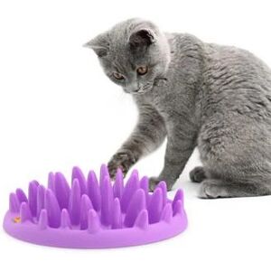 Gamelle Anti Glouton Northmate Catch pour chat