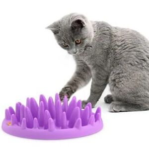 Gamelle Anti Glouton Northmate Catch pour chat - Publicité