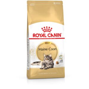 Royal Canin Maine Coon Adult pour chat 10kg - Publicité