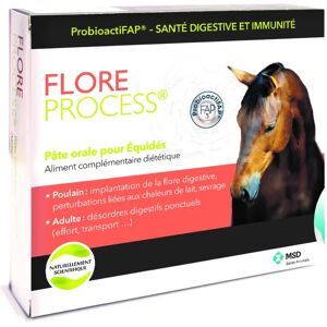 MSD FLORE PROCESS Cheval 5 seringues de 20 ml