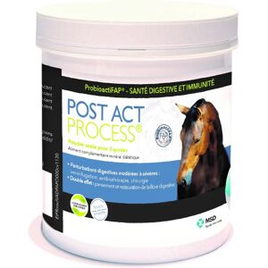 Intervet POST ACT PROCESS CHEVAL 500g