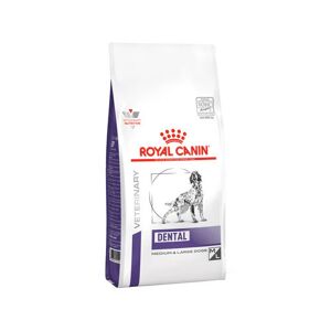 Royal Canin Dental Medium & Large Dog croquettes pour chien 6kg