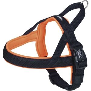 Nobby Mesh Preno Harnais Norvégien pour Chien Orange Néon 75-98 cm + 62 cm/40-45 mm Orange - Publicité