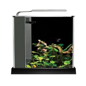 fluval aquarium équipé spec iii - 10 l - noir Noir - Publicité