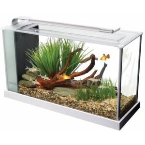 Fluval aquarium spec v 19 l blanc 43,5 x 27 x 16 cm Blanc - Publicité