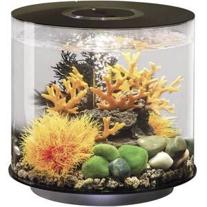 Aquarium 15 l Oase 72062 avec éclairage LED - Publicité