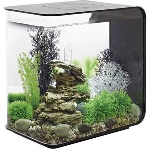 Aquarium 30 l Oase 72033 avec éclairage LED - Publicité