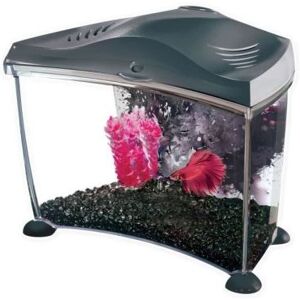 marina kit aquarium graphite pour betta - 6,7 l - Publicité