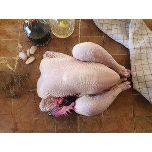 Poulet Fermier Pre-decoupe - 1,8kg - En direct de EARL Plumes et Laines (Morbihan)