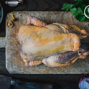 Pintade - 1.400kg - En direct de Maison BAYLE - Champions du Monde de boucherie 2016 (Loire)